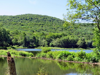 picture taken during a hike