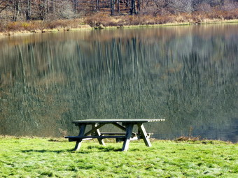 picture taken during a hike