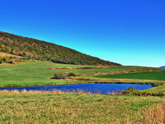 picture taken during a hike