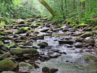 picture taken during a hike