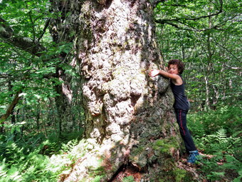 picture taken during a hike