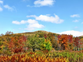 picture taken during a hike