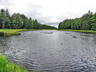 picture taken during a hike
