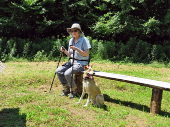 picture taken during a hike