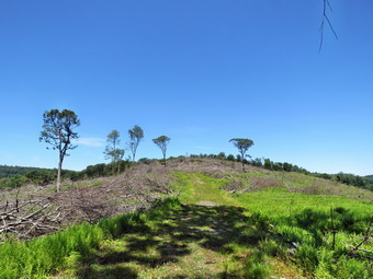 picture taken during a hike