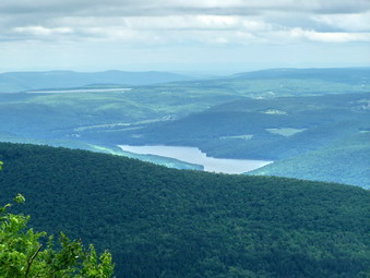 picture taken during a hike