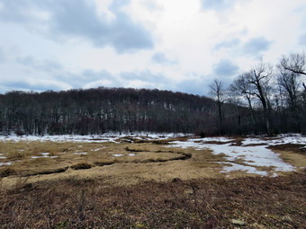 picture taken during a hike