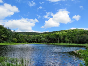 picture taken during a hike