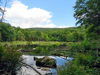 picture taken during a hike