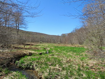 picture taken during a hike