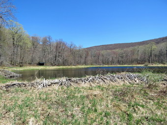 picture taken during a hike