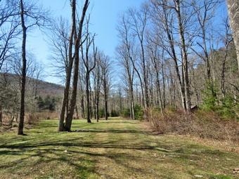 picture taken during a hike