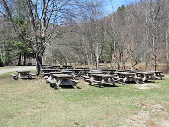 picture taken during a hike