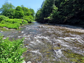 picture taken during a hike