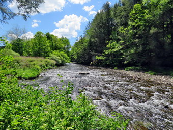 picture taken during a hike