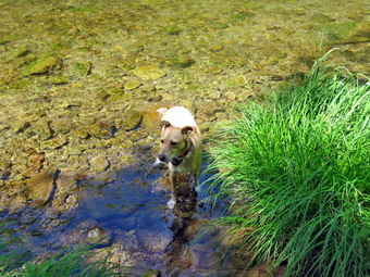 picture taken during a hike