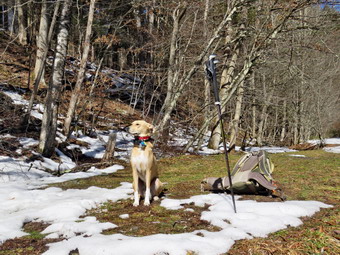 picture taken during a hike