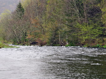 picture taken during a hike