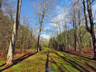 picture taken during a hike