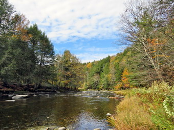 picture taken during a hike