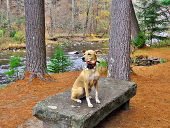 picture taken during a hike