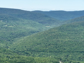 picture taken during a hike