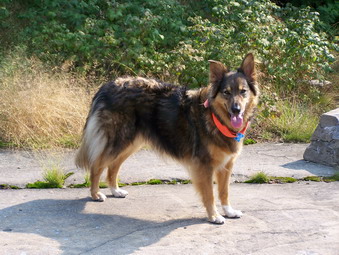 picture taken during a hike