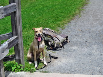 picture taken during a hike