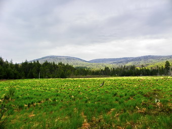 picture taken during a hike