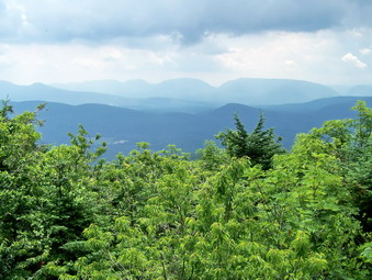 picture taken during a hike