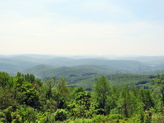 picture taken during a hike