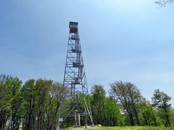 picture taken during a hike