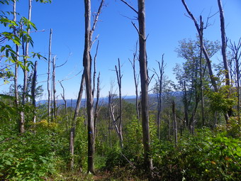 picture taken during a hike