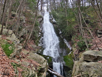 picture taken during a hike