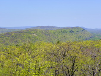 picture taken during a hike
