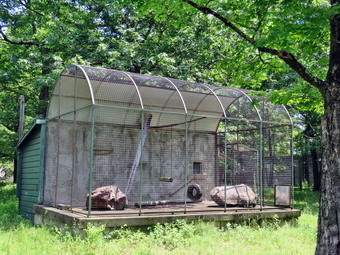 picture taken during a hike