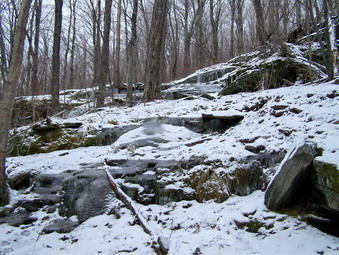 picture taken during a hike