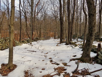 picture taken during a hike