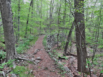 picture taken during a hike