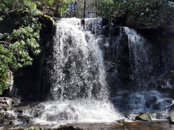 picture taken during a hike