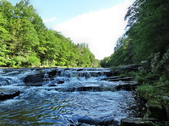 picture taken during a hike