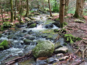 picture taken during a hike