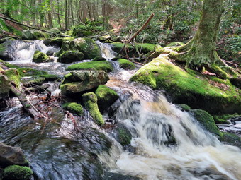 picture taken during a hike