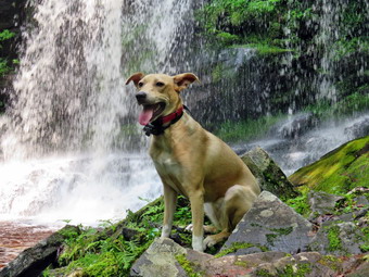 picture taken during a hike