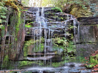 picture taken during a hike