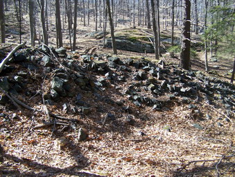 picture taken during a hike