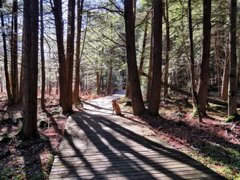 picture taken during a hike