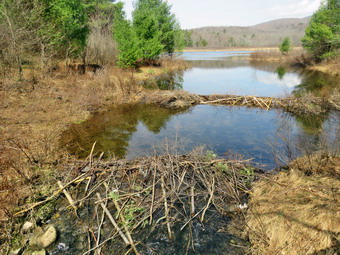 picture taken during a hike