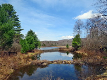 picture taken during a hike