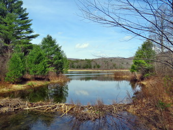 picture taken during a hike